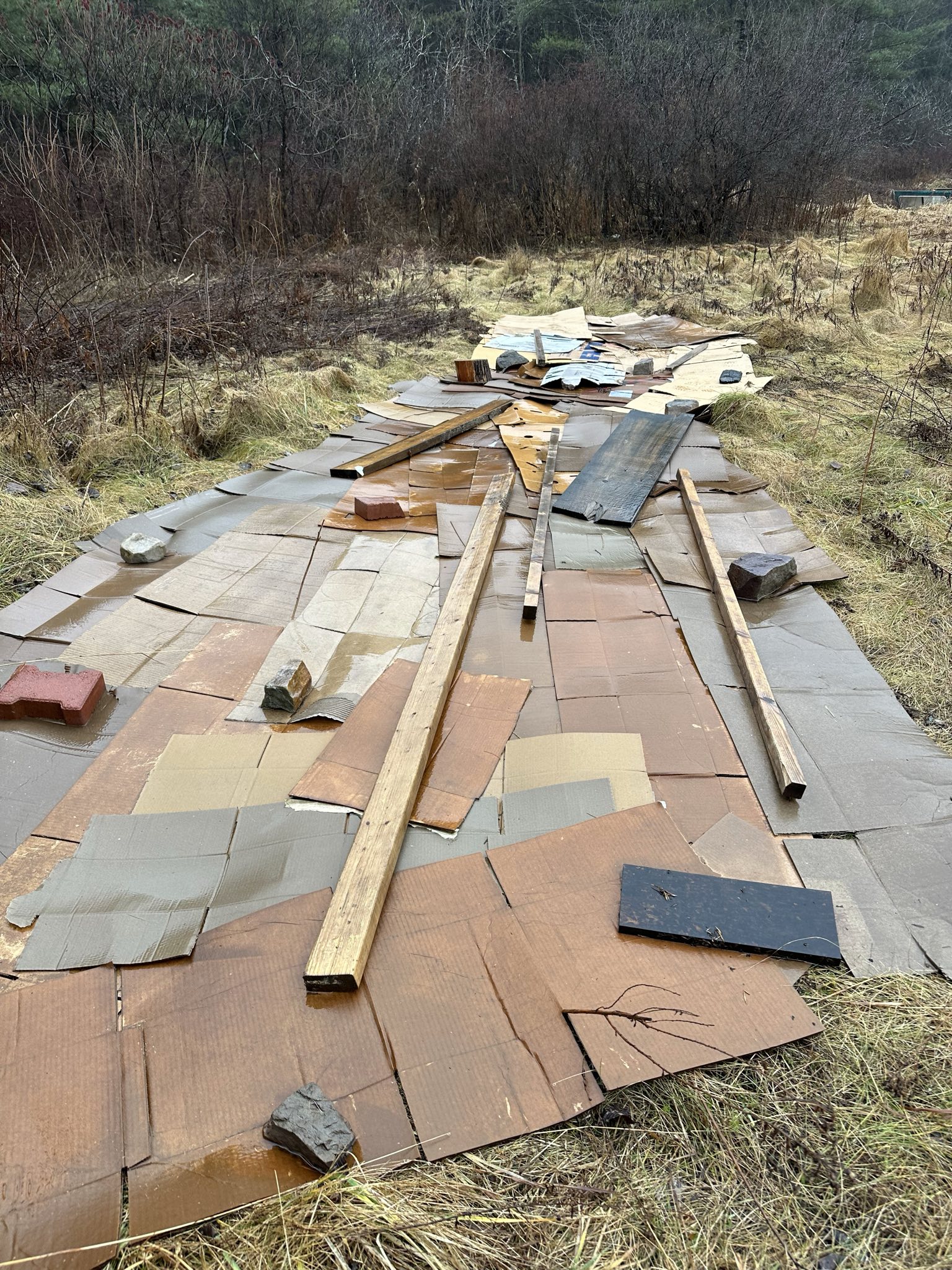 Salvaged flagstone and slate pavers laid out in a patchwork across bare winter ground, with lengths of lumber and a few bricks set on top, beside dried grass and leafless brush.