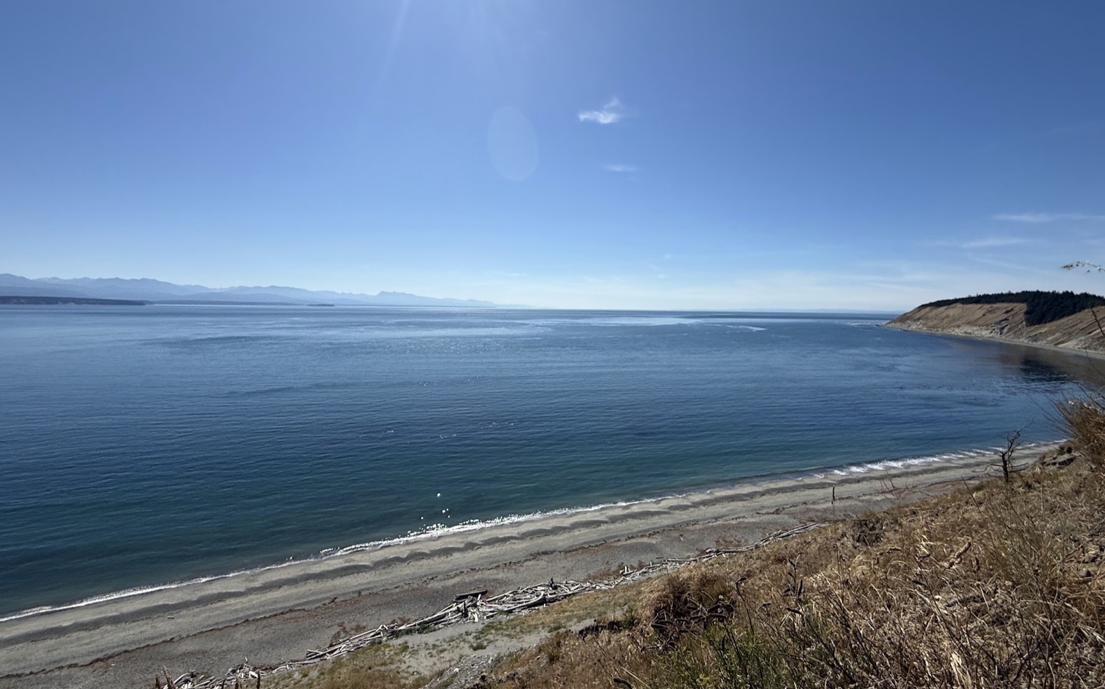 A wide Pacific Northwest bay under a clear blue sky, driftwood scattered along a pebbled beach with a forested bluff in the distance.